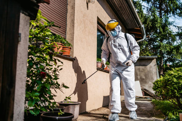 Best Commercial Pest Control Services  in Port Royal, SC