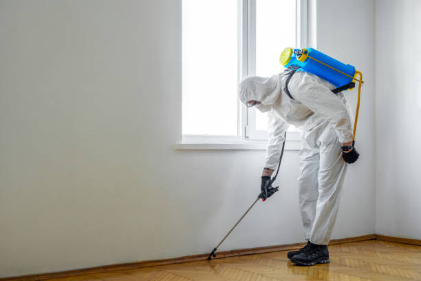 Best Bed Bug Extermination  in Port Royal, SC