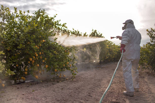 Pest Control for Restaurants in Port Royal, SC