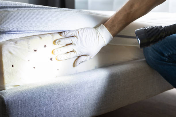 Best Residential Pest Control  in Port Royal, SC