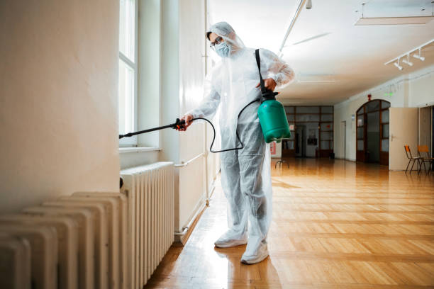 Flea Control Services in Port Royal, SC