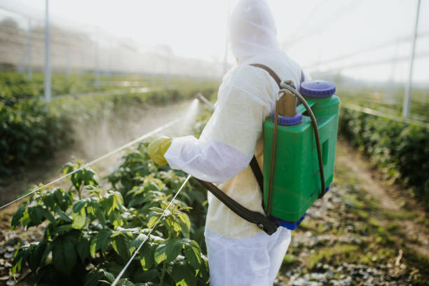 Best Local Pest Control Services  in Port Royal, SC